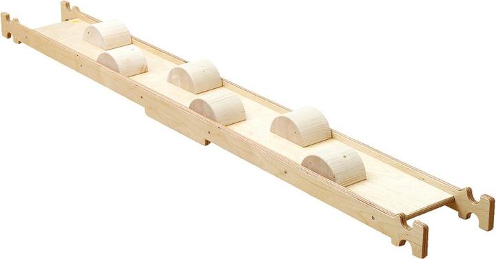 Actual product image Erzi Balancing board branches