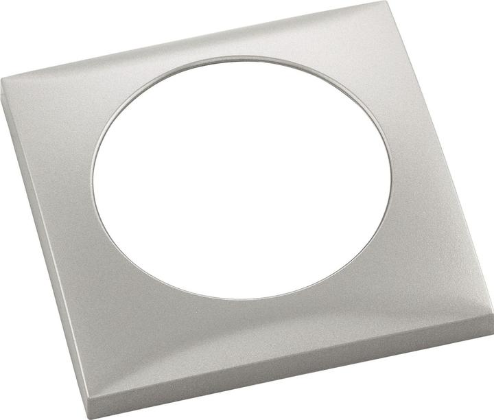 Actual product image Berker Frame