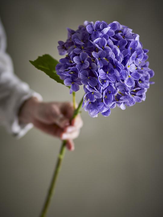 Actual product image Bloomingville Hydrangea (73 cm)
