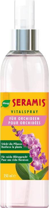 Maag Vitalspray (0.25 l)