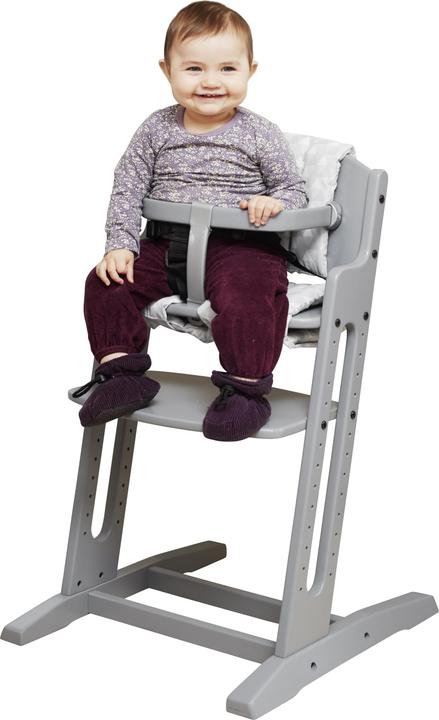Actual product image Baby Dan DanChair Traditional High Chair Hard Seat Grey