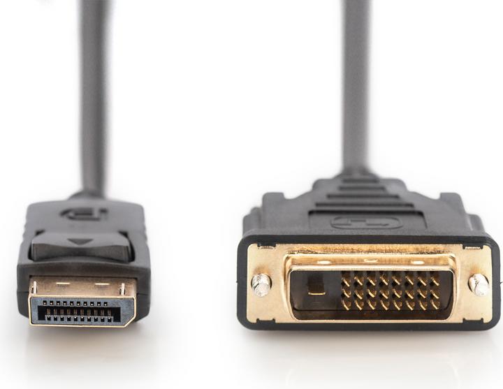 Actual product image Digitus DisplayPort — DVI (2 m, DisplayPort)
