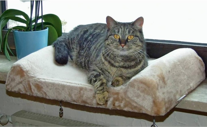 Actual product image Kerbl Window bed (Dog, Cat)