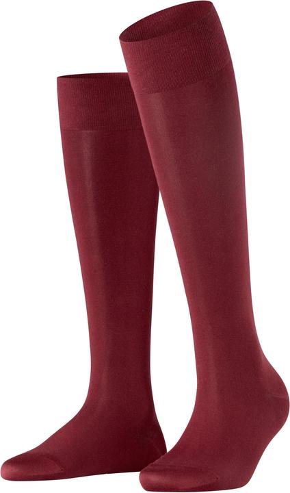 8596 barolo