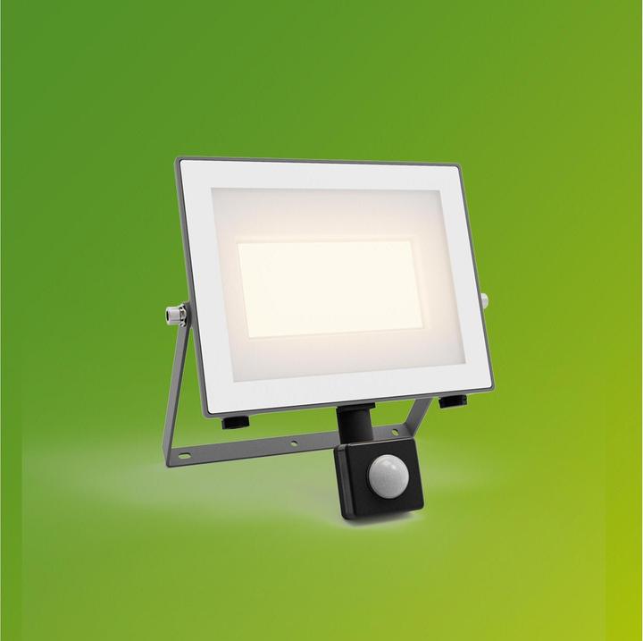 Produktbild Philips Outdoor Ultra-Efficient Flutlicht Lois (4450 lm, IP65)