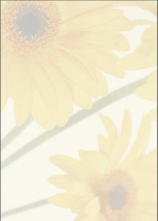 Produktbild Sigel Motiv-Papier