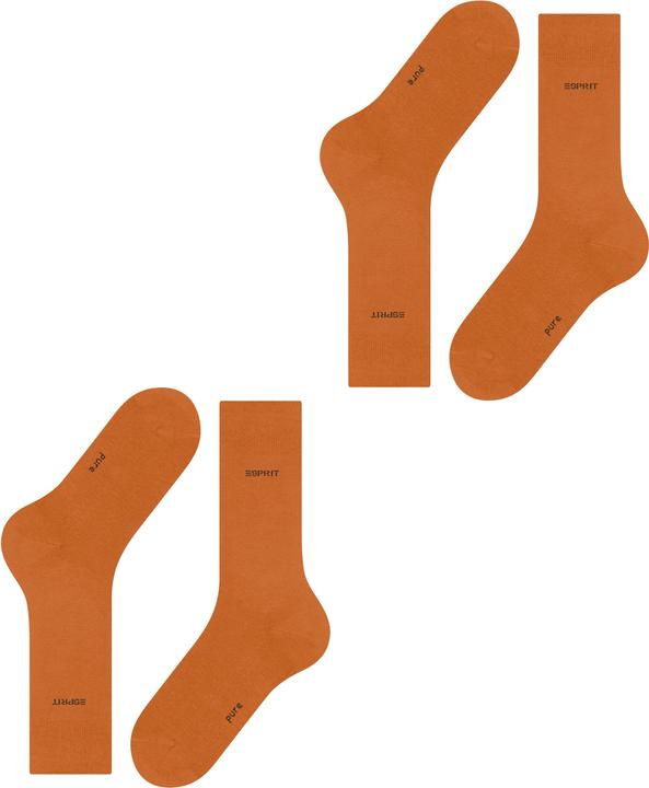 Actual product image Falke Basic Uni SO 2P (pack of 2, 39 - 42)