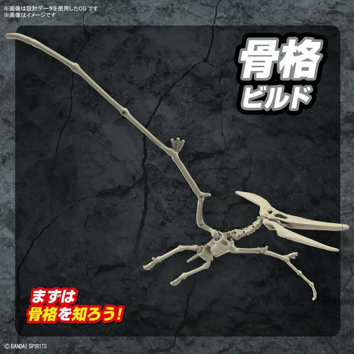 Actual product image Bandai PLANNOSAURUS - Plannosaurus Pteranodon - Model Kit