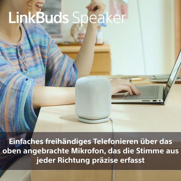 Productafbeelding Sony SRS-LS1 (25 h, Oplaadbare batterij)