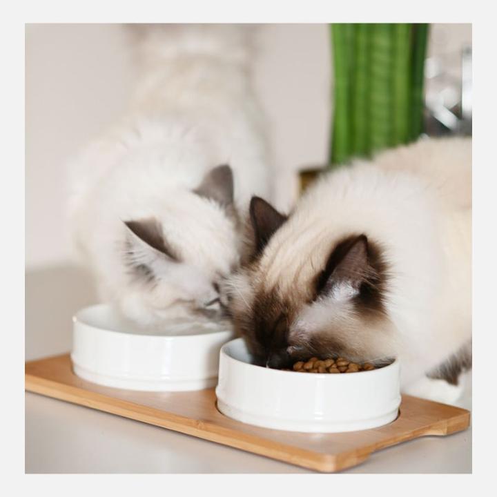 Image du produit Ultra Premium Direct Sterilised Cat - Poulet & Riz (Senior, Adulte, 1 pcs, 10000 g)