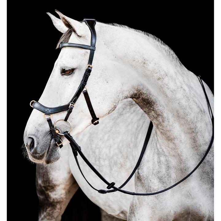 Produktbild Horseware Micklem Multi