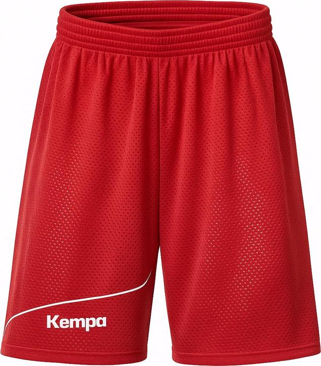 Actual product image Kempa Reversible Shorts (152)