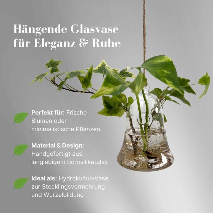 Actual product image Hermex Hängende Glasvase Glockenform Blumenvase Vase Dekoration (1 x, 8.5 x 8.5 x 11 cm)