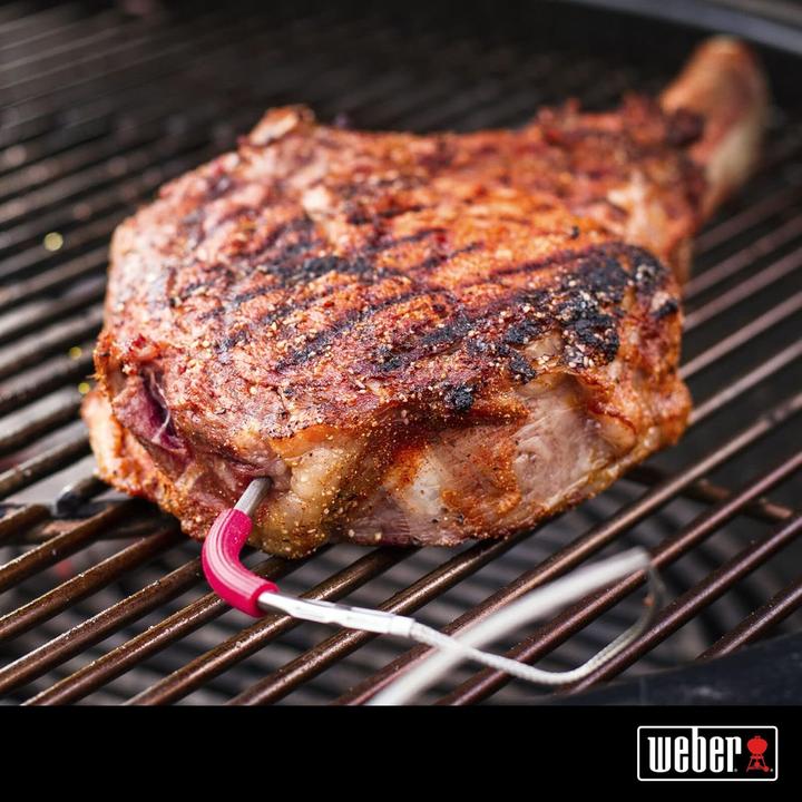 Produktbild Weber iGrill Pro Messfühler