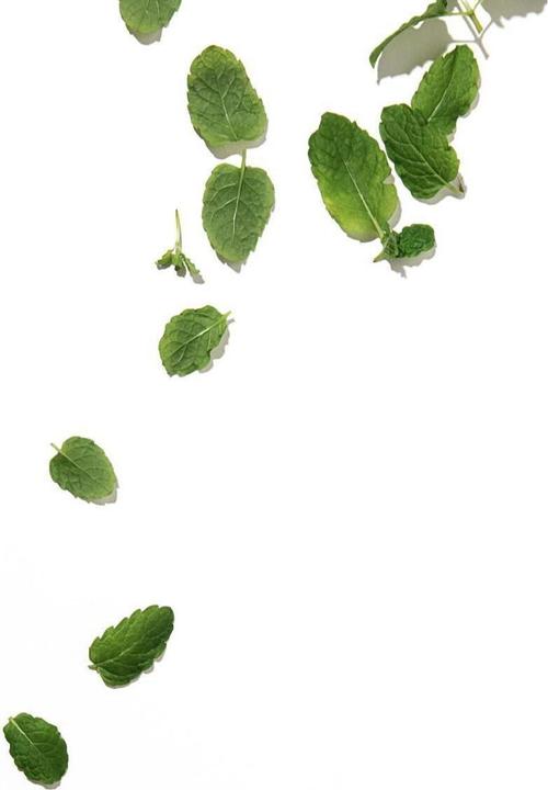 Produktbild Stop The Water While Using Me! Moroccan Mint (Lippenbalsam, 10 ml)