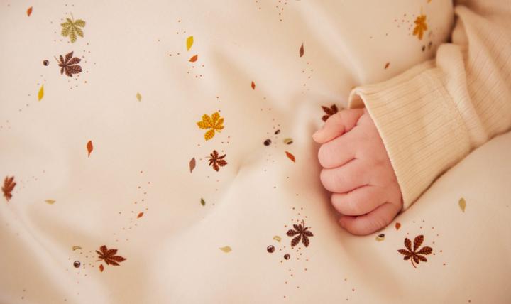 Produktbild Filibabba Babybettwäsche GOTS - Chestnuts (70 x 100 cm, 40 x 45 cm)