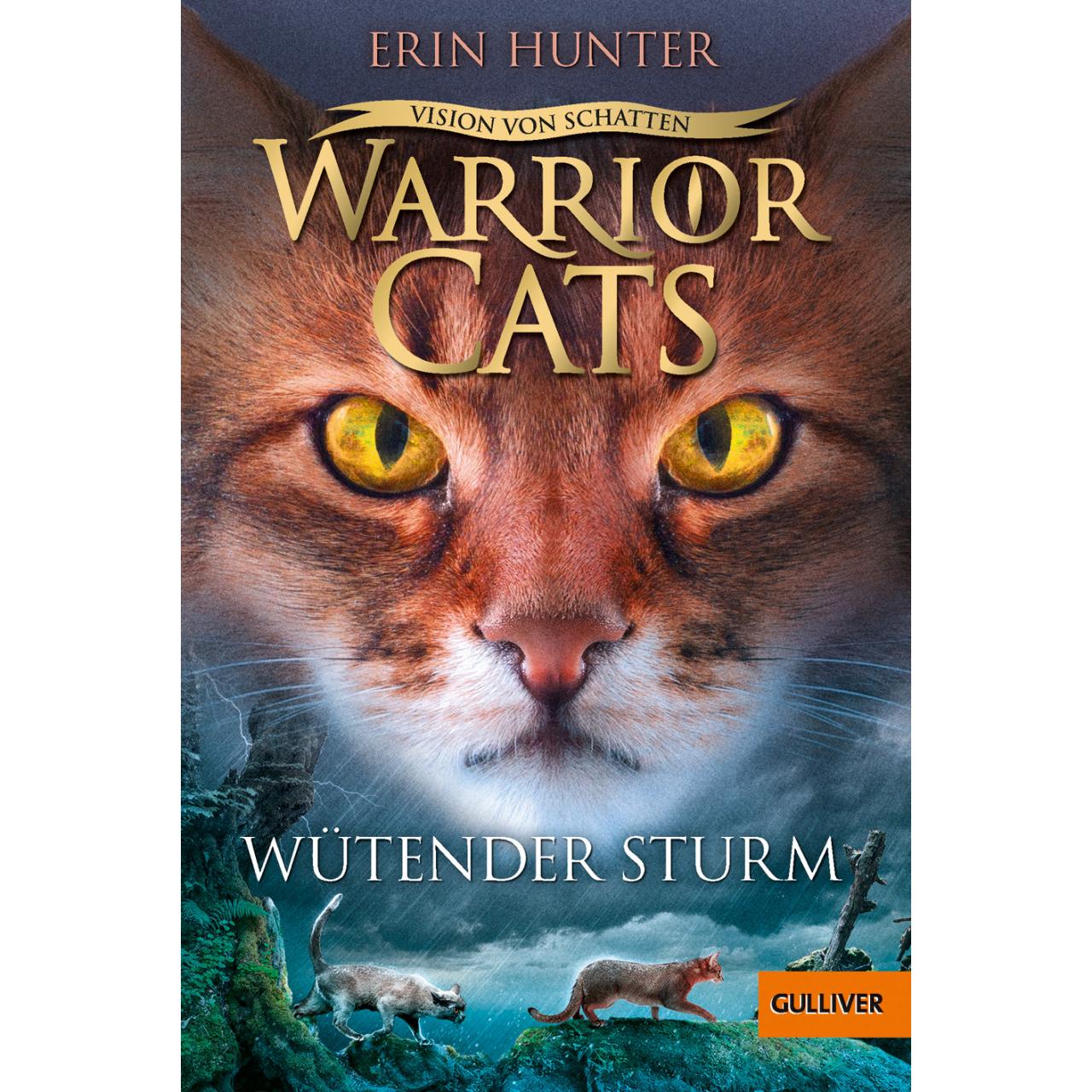 Warrior Cats - Vision von Schatten. Wütender Sturm, Kinderbücher von Erin Hunter