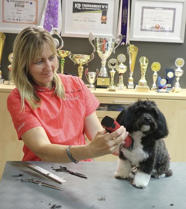 Produktbild Kerbl Akkuschermaschine Aesculap Favorita CL (Hund)