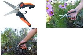 Actual product image Garten Primus Perennial herb shears