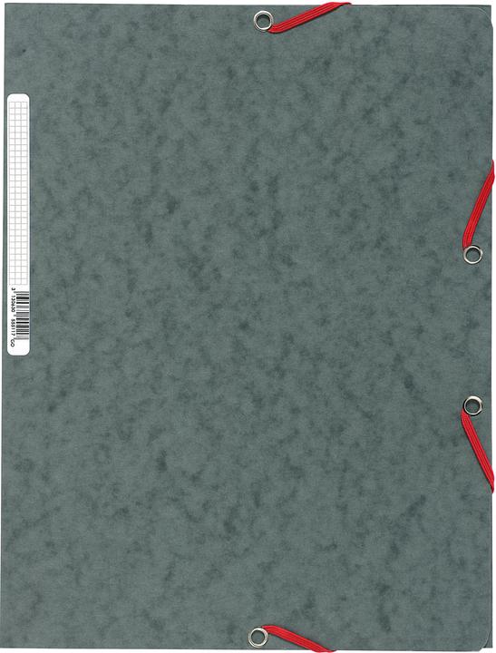 Actual product image Exacompta A4 folder - 3 flaps (A4, 1 x)