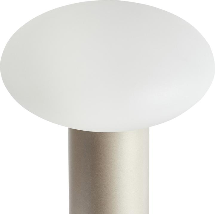 Image du produit Beliani Buayan (100 lm)