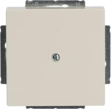 Actual product image Busch-Jaeger Central disk