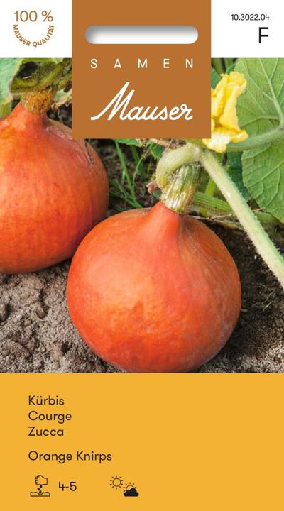 Produktbild Samen Mauser Kürbis Orange Knirps (Gemüsesamen)