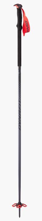 Actual product image Dynafit Tour Pole