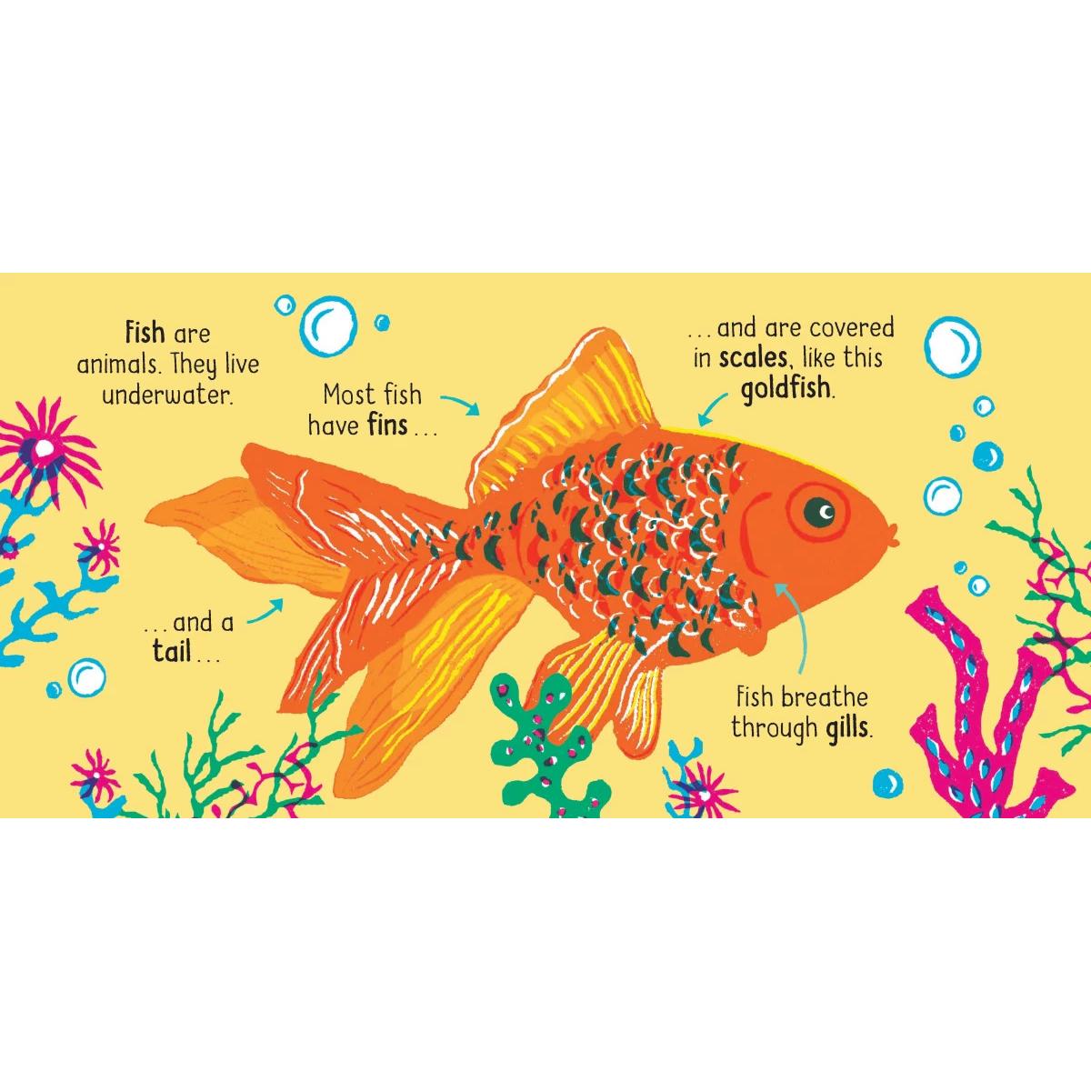 Thumbnail - 50 Wörter über die Natur - Tiere, Kinderbücher