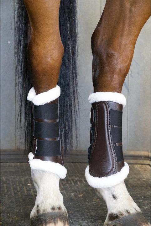 Produktbild TdeT Training 22