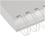 Produktbild Renz Ring Wire A4 50 Stk. - Ring Ø 19 mm, weiss