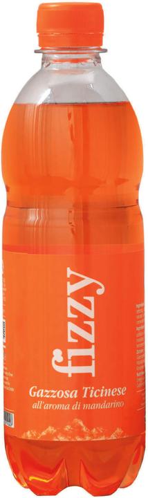 Fizzy Gazzosa ticinese (6 x 50 cl)