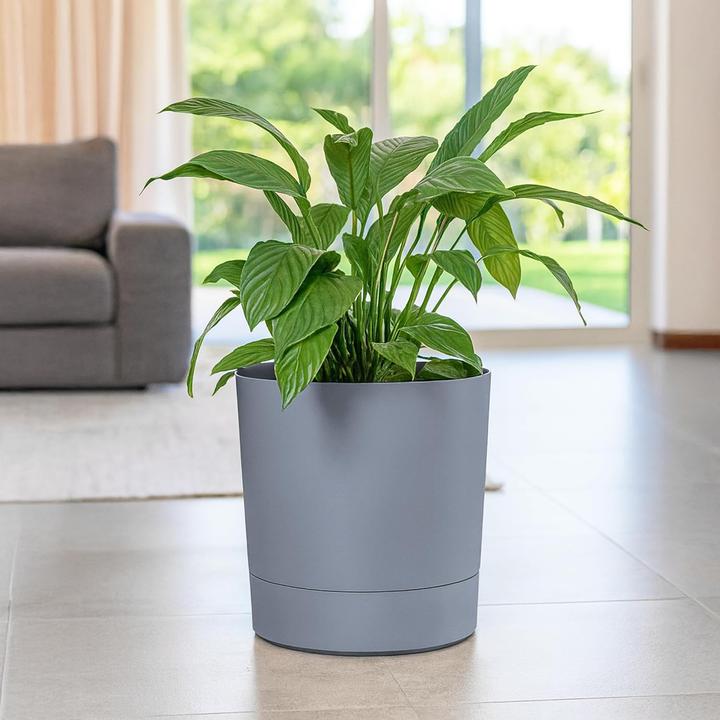 Produktbild Konzept Grosser Blumentopf mit Untersetzer