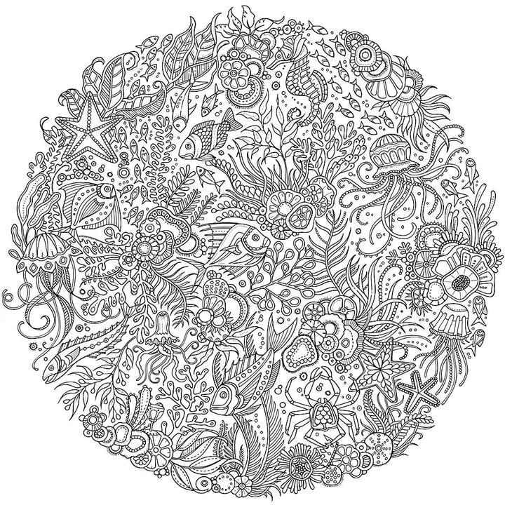 Image du produit Mon océan fantastique