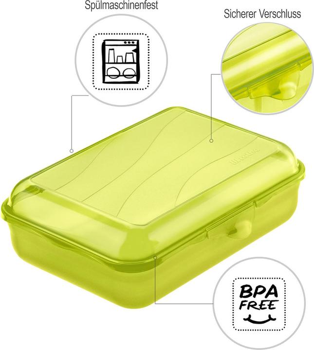 Actual product image Rotho Fun