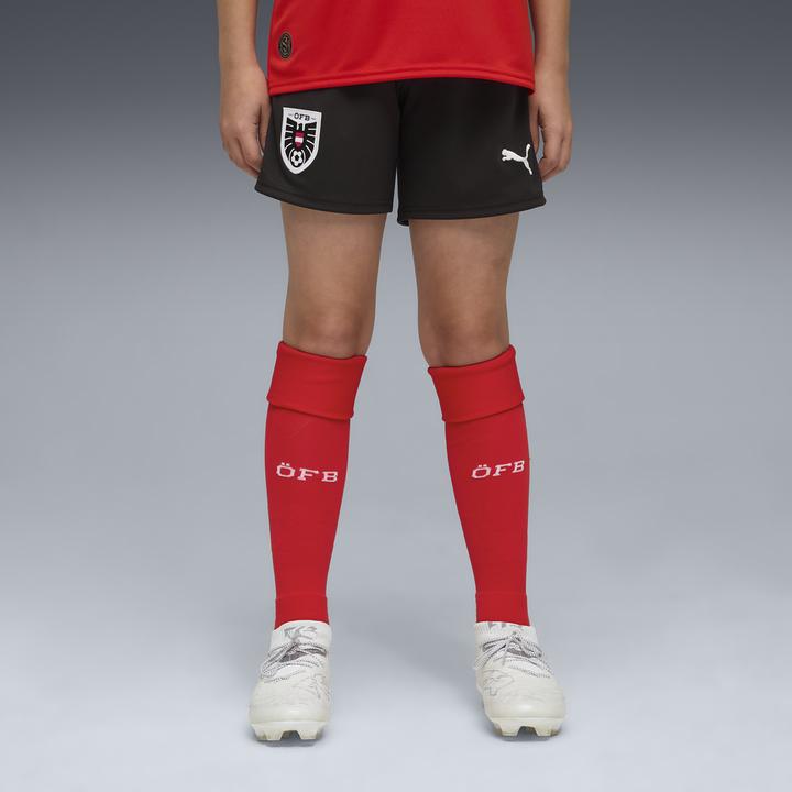 Produktbild Puma ÖFB Shorts Replica Jr (152)