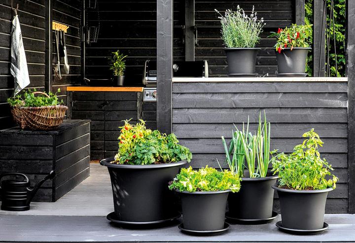 Immagine prodotto Orthex Sottobicchiere 'Botanica