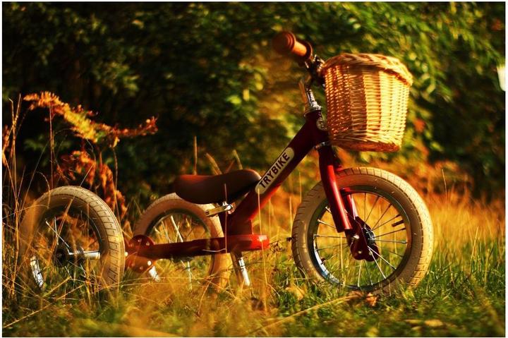 Produktbild Trybike Stosserkorb