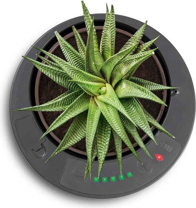 Produktbild Die Höhle der Löwen LazyLeaf