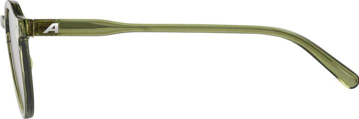 Actual product image Alpina Sneek