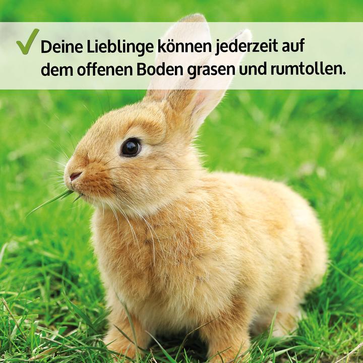 Produktbild Jamb Jumbo