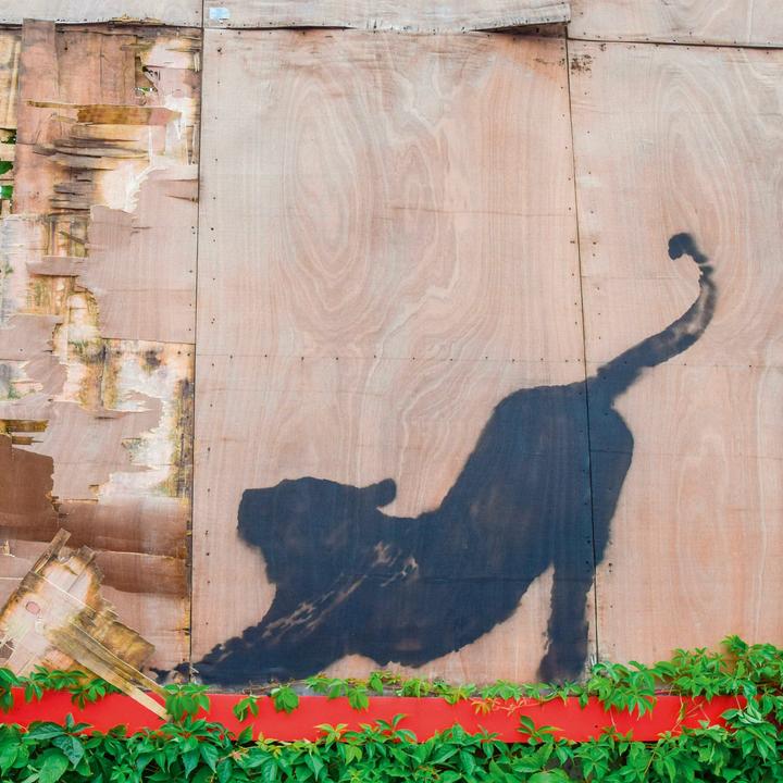 Produktbild Banksy 2026 (30 x 30 cm)