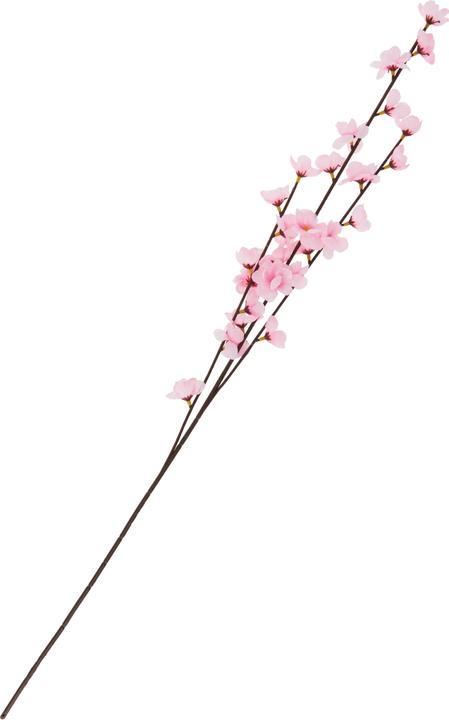 DPI Apfelblüten Zweig (79 cm)