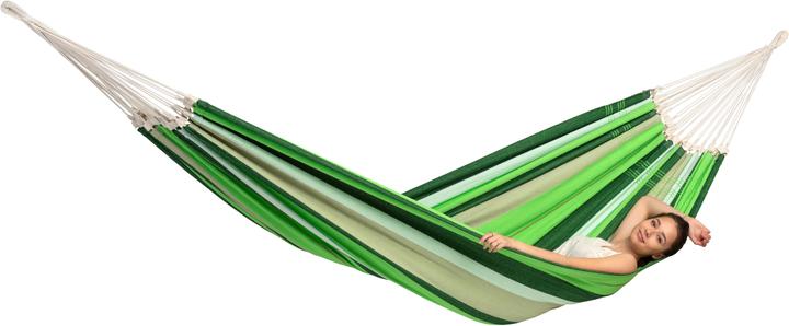 Actual product image Amazonas Paradiso (200 kg)