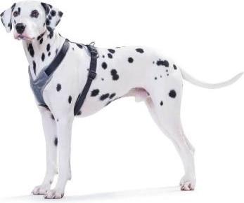 Immagine prodotto Hunter Pettorina in neoprene per cani Nero M/2 (2, M, Cane, Generale)