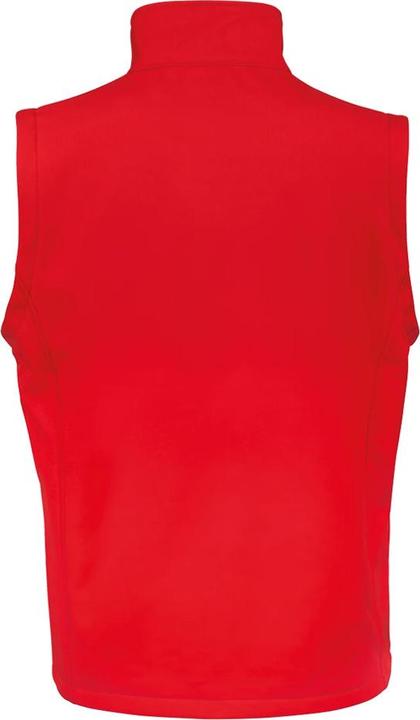 Actual product image Regatta Mens Printable Softshell Body Warmer (L)