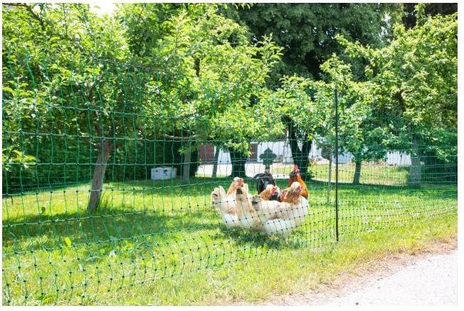 Actual product image AKO Poultry net