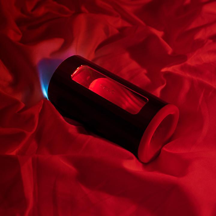 Actual product image LELO F1S