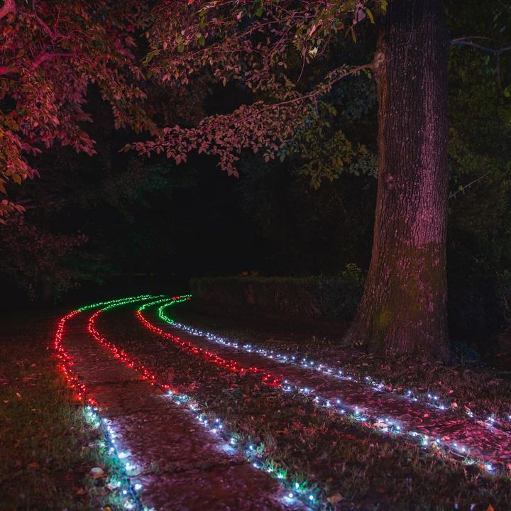 Image du produit Twinkly Chaînes (32 m)
