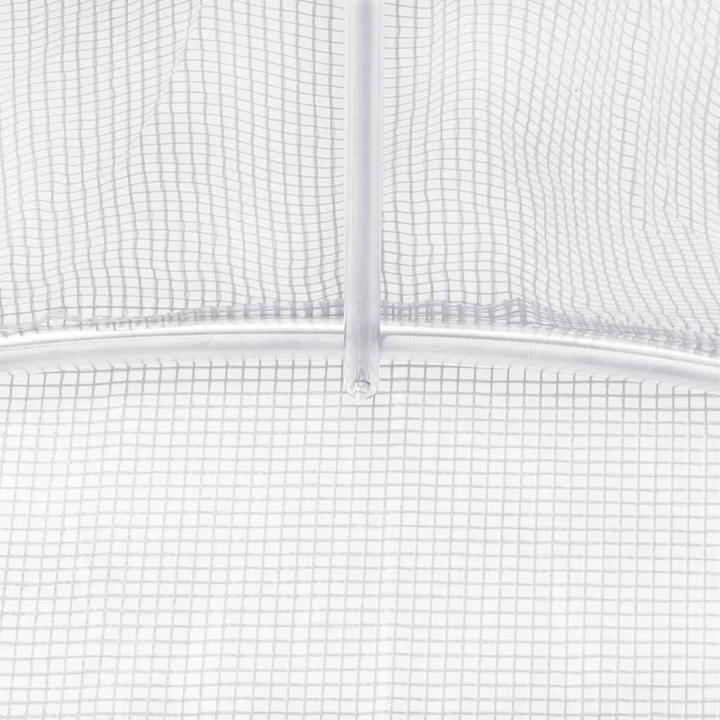 Actual product image vidaXL Gewächshaus